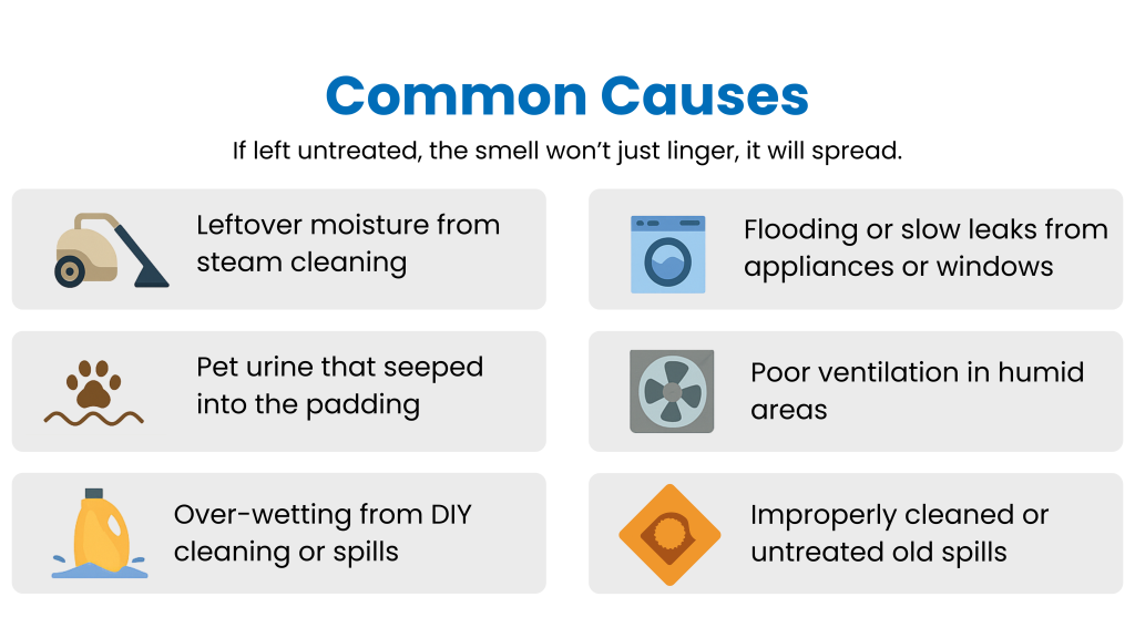 Infographic listing common causes of wet carpet smell..png