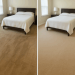 Best Residential Carpet Cleaning
